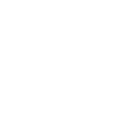 fitzad-academy